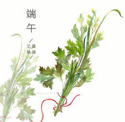 端午节插艾条图片