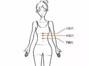 下脘的準確位置圖片下脘的準確位置圖片及功效