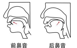 5个前鼻音韵母5个前鼻音韵母4个后鼻音韵母