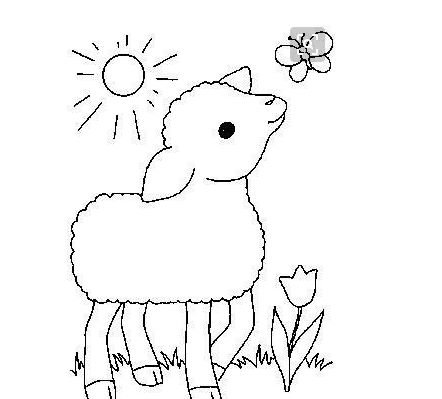 小羊喝水简笔画图片