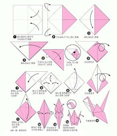 千纸鹤的制作过程图片