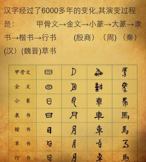 4赞·1播放有关汉字的资料(20字左右)汉字的演变经历了几千年的漫长