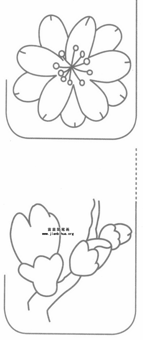 桃花簡筆畫桃花簡筆畫古風