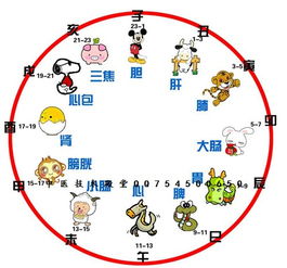 古代十二時辰與時間對照表古代十二時辰與時間對照表圖