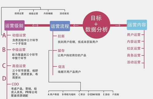 網絡運營網絡運營培訓班