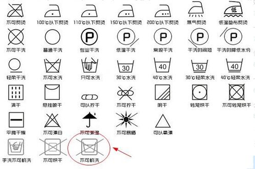 衣物标签洗涤标志图片