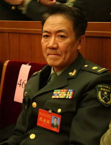 李幼斌的工資和福利與少將類似,但他沒有任何軍事力量.