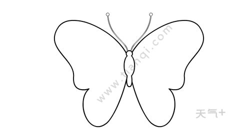 用数字3画蝴蝶的画法图片