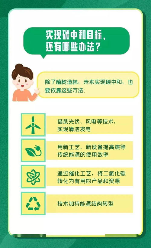 Answer的中文意思是什么?