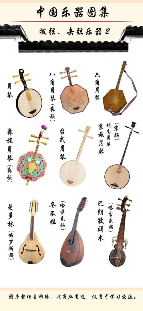 中国传统乐器名称图片
