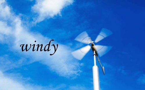 windy的图片表示图片