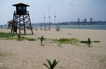 湛江特呈島 門票 和船票 多少錢 裡面消費貴嗎