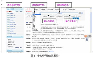 查找中文期刊论文(不少于三个)和学位论文(不少于两个)的数据库