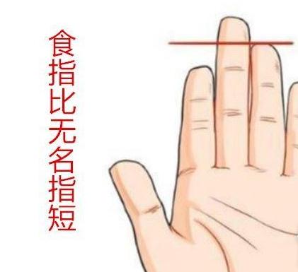 无名指是哪个无名指是哪个手指图片