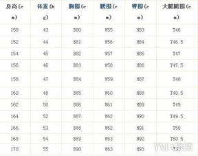 11周顶臀径标准对照表图片