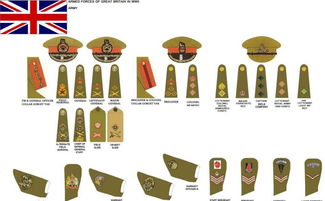 英军肩章军衔图解图片