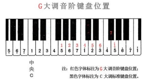 钢琴十二个调的示意图图片