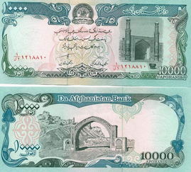 阿富汗尼不断贬值,2002年,一美元可对换43000阿尼