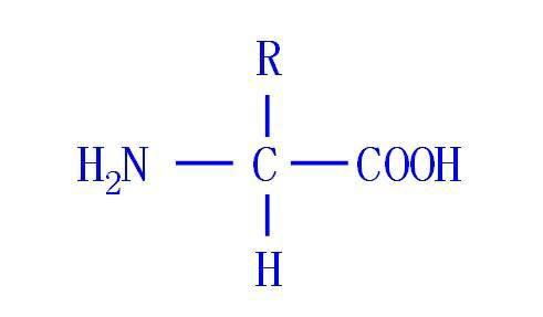 2-氨基乙酸结构式图片