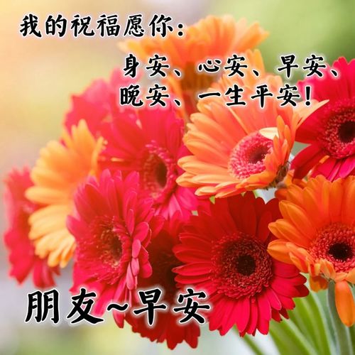 清晨问候语有哪些?朋友,祝你拥抱安康,幸福微笑,天天快乐!早安