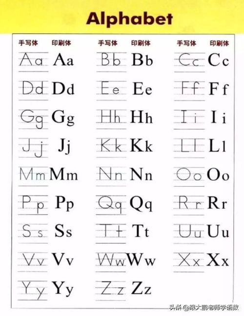 字母Qq手写体图片