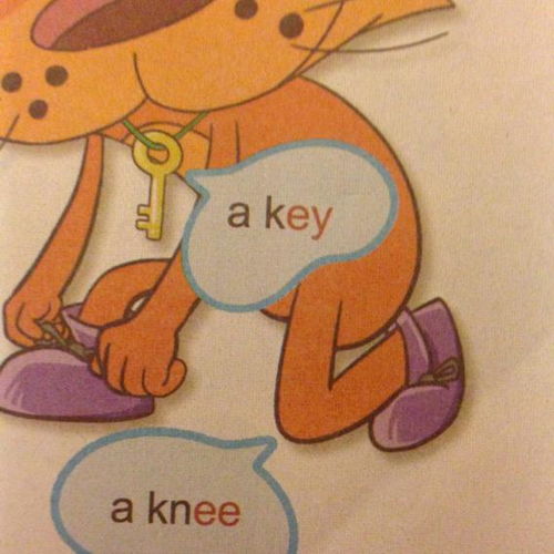 knee这个英语单词怎么读