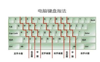 新手學電腦打字,手應放在鍵盤哪幾個鍵上