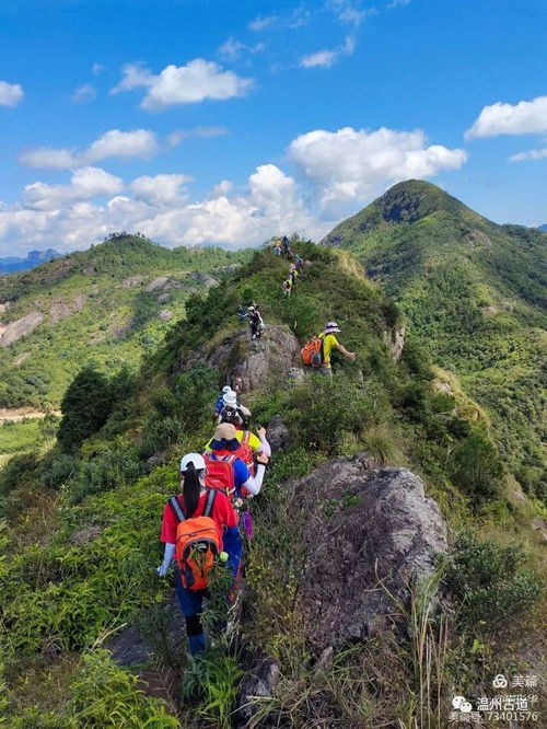 翻山越嶺的意思(翻山越嶺的意思解釋)_競價網