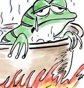 温水煮青蛙表情包图片