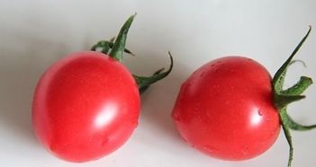 小番茄和圣女果有什么区别