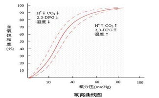 心率低氧饱和度低_血氧饱和度低的症状心率多少_饱和心率症状低度血氧正常吗