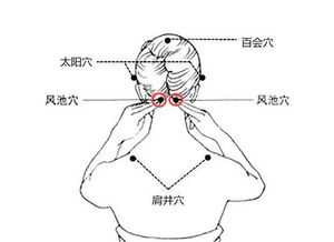 取穴方法:定位此穴道的時候應該讓患者採用正坐或俯臥,俯伏的取穴姿勢