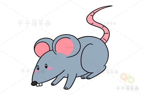 老鼠怎么画老鼠怎么画简笔画7加2