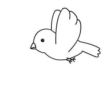 小鸟怎么画?