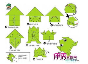 折纸神谷哲史树蛙图片