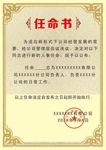 公司任命書公司任命書紅頭文件