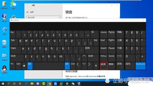 筆記本電腦字母鍵盤總是打出數字筆記本電腦上的鍵盤字母變成數字