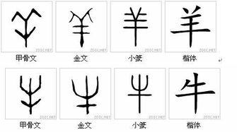 汉字最早的起源是在一个记事来使用的象形文字图画的,当时的汉字很多
