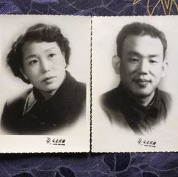 李晨父母家四合院,市价惊人,一家子隐藏土豪,这是范冰冰看上他的原因