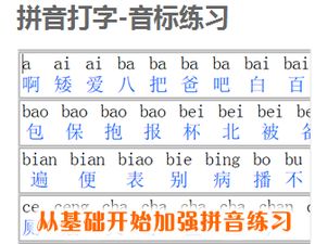 学习拼音打字练习的软件有哪些?