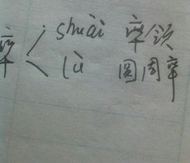 比率,斜率,扁率,shuài:统率,率领,坦率,轻率,率性,率直,率然,草率