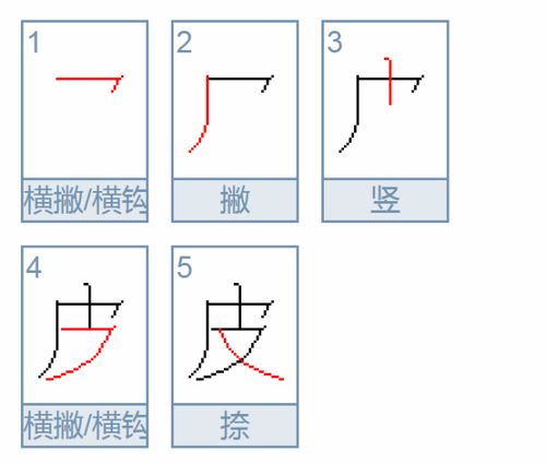 皮的筆畫筆順(皮的筆畫筆順怎麼寫的)_競價網