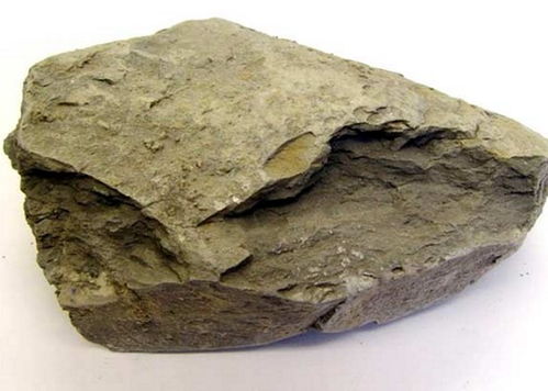 钙质页岩图例图片