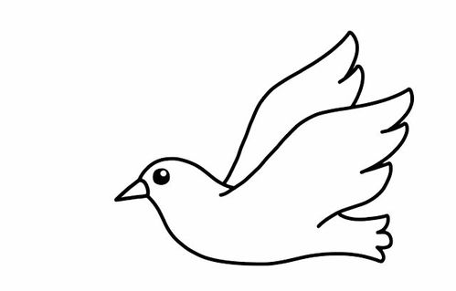 2,然后画鸽子的另一只翅膀,这个翅膀比较好定位,同样注意线条