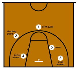 篮球位置介绍和详解图篮球位置介绍和详解图全场