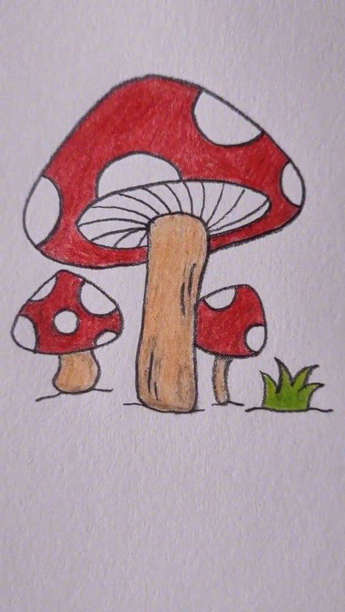蘑菇怎么画蘑菇怎么画简笔画图片