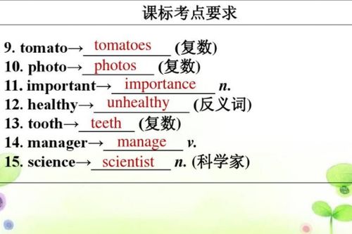 photo复数是什么potato复数是什么