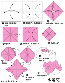 莲花折法教程图片