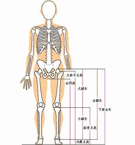 腿长怎么量从哪到哪腿长怎么量从哪到哪图解