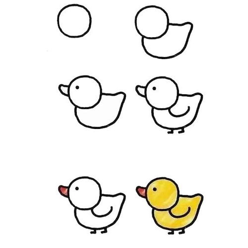 鸭子笔画简单图片